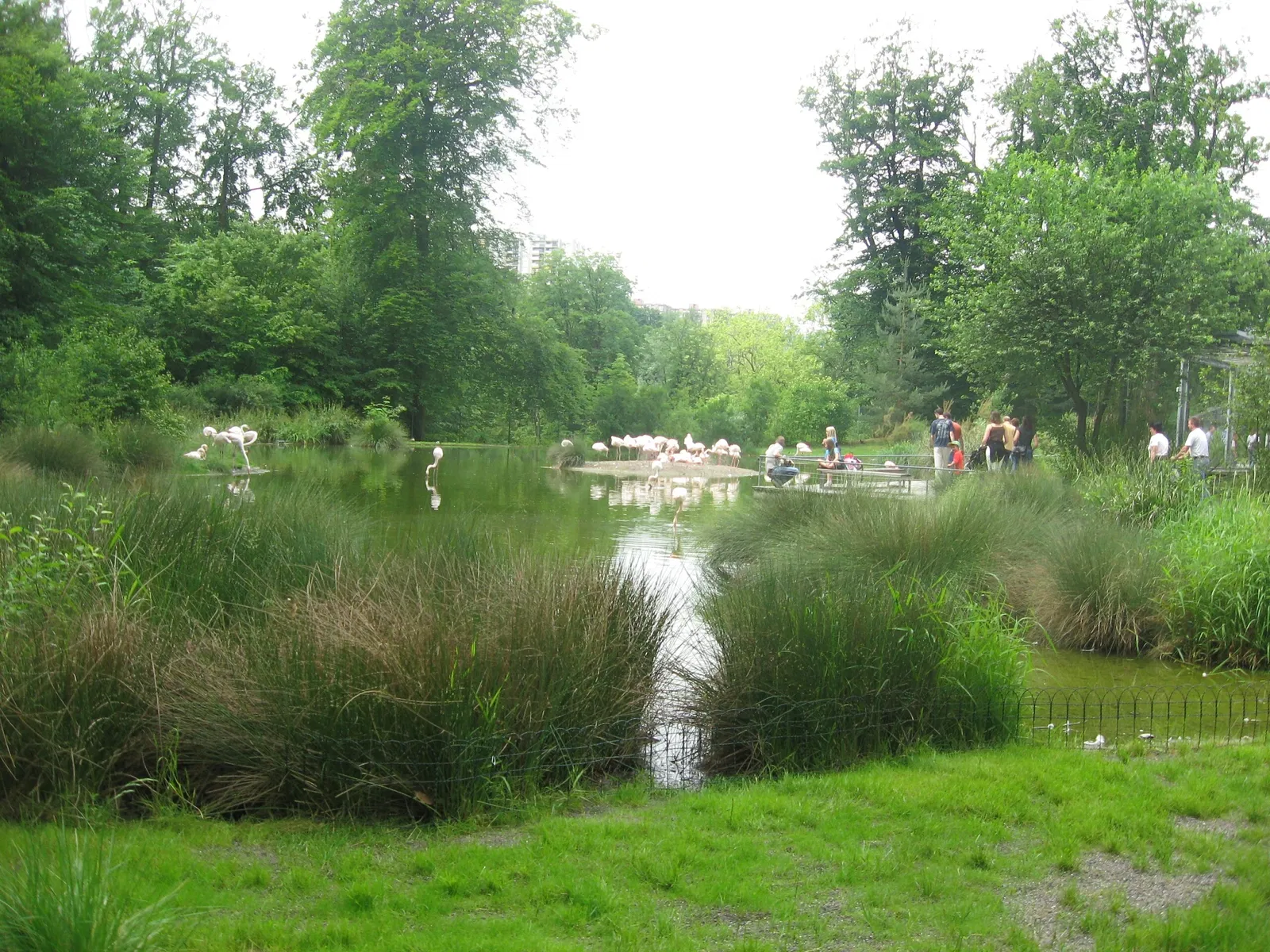 Parc zoologique Dählhölzli