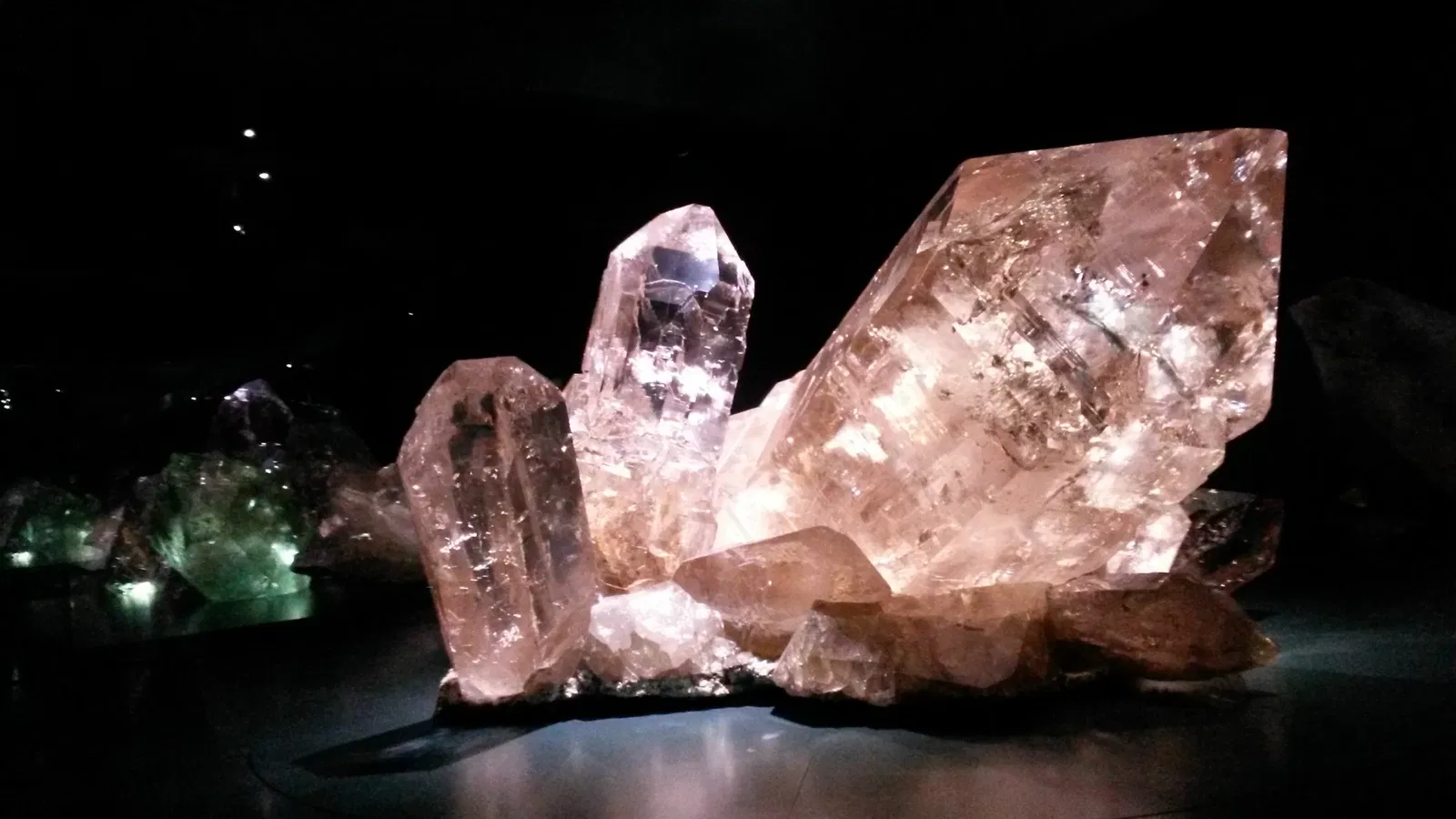 Naturhistorisches Museum Bern