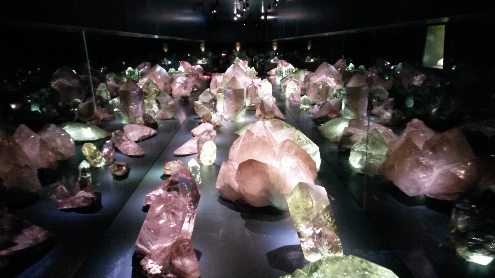 Naturhistorisches Museum Bern