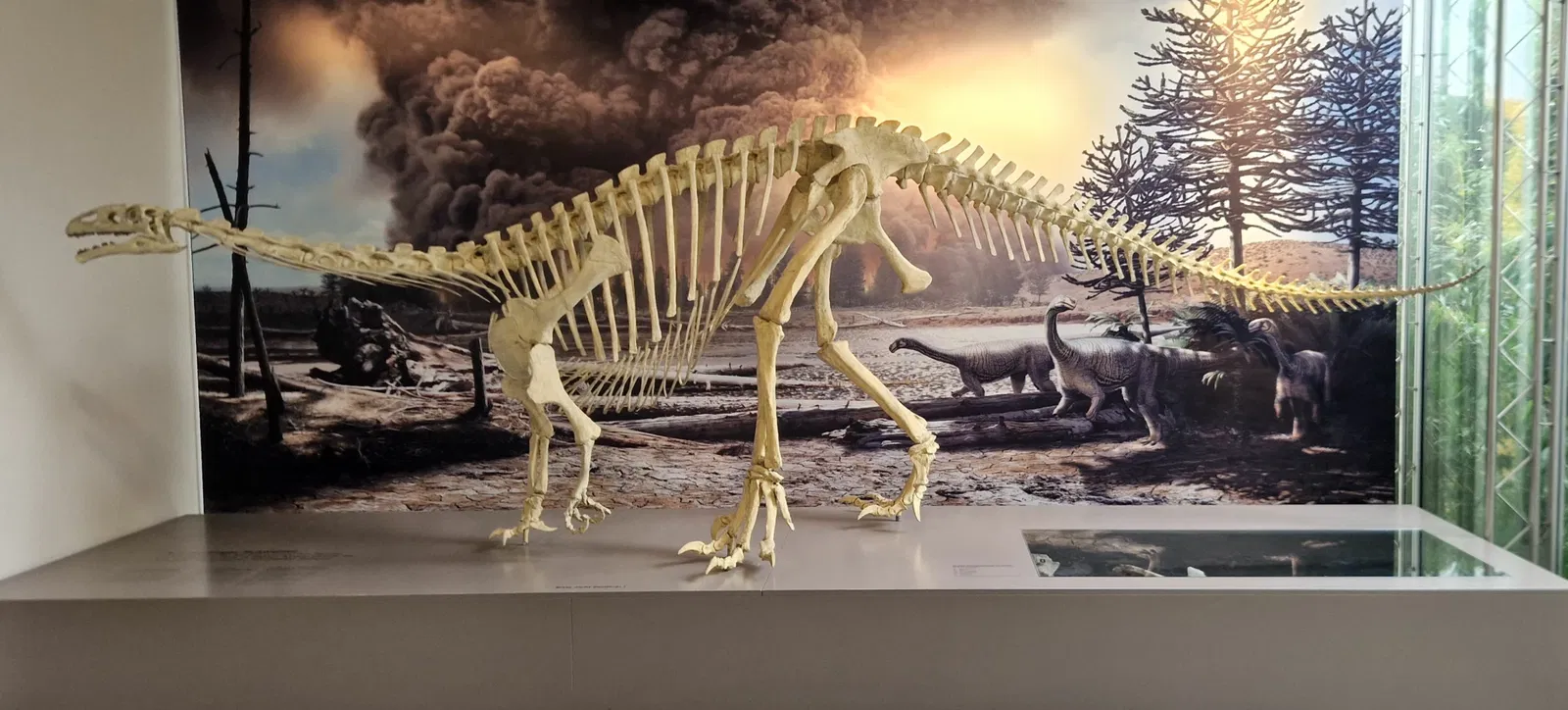 Natural History Museum of Bern