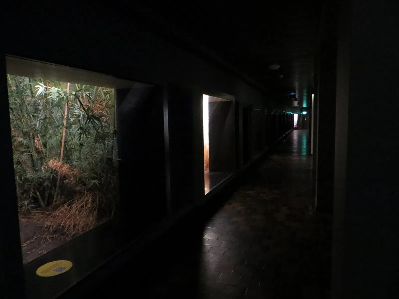 Naturhistorisches Museum Bern