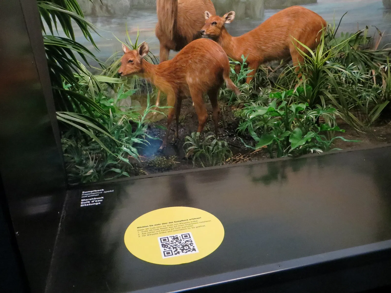 Natural History Museum of Bern