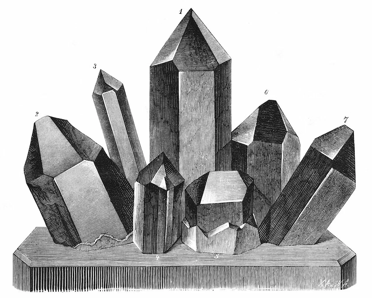 Naturhistorisches Museum Bern