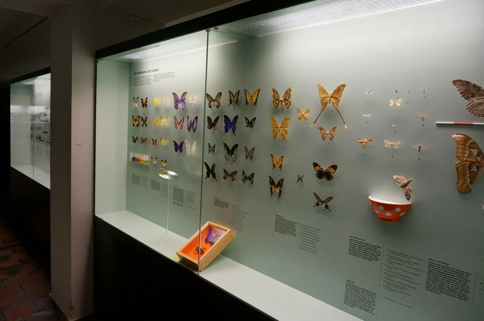 Musée d'histoire naturelle de Berne