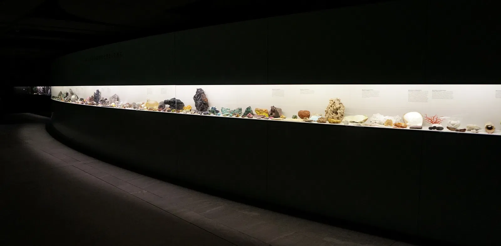 Natural History Museum of Bern