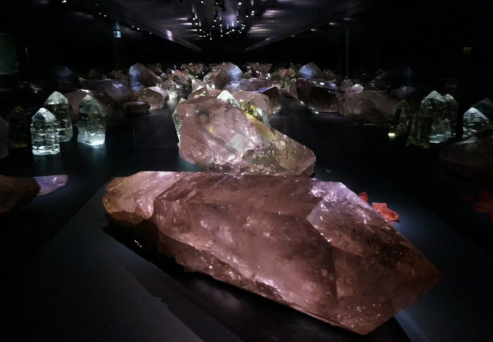 Musée d'histoire naturelle de Berne