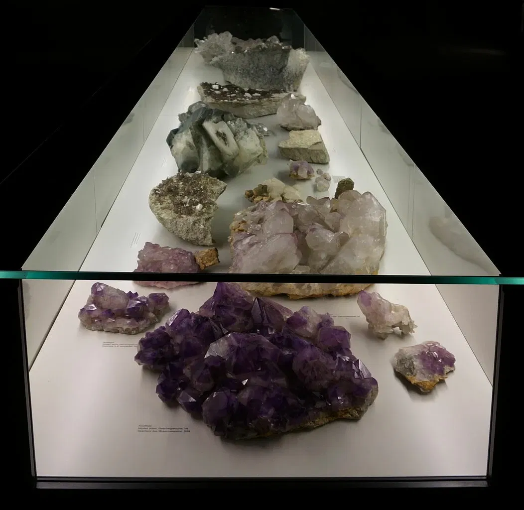 Museo di storia naturale di Berna