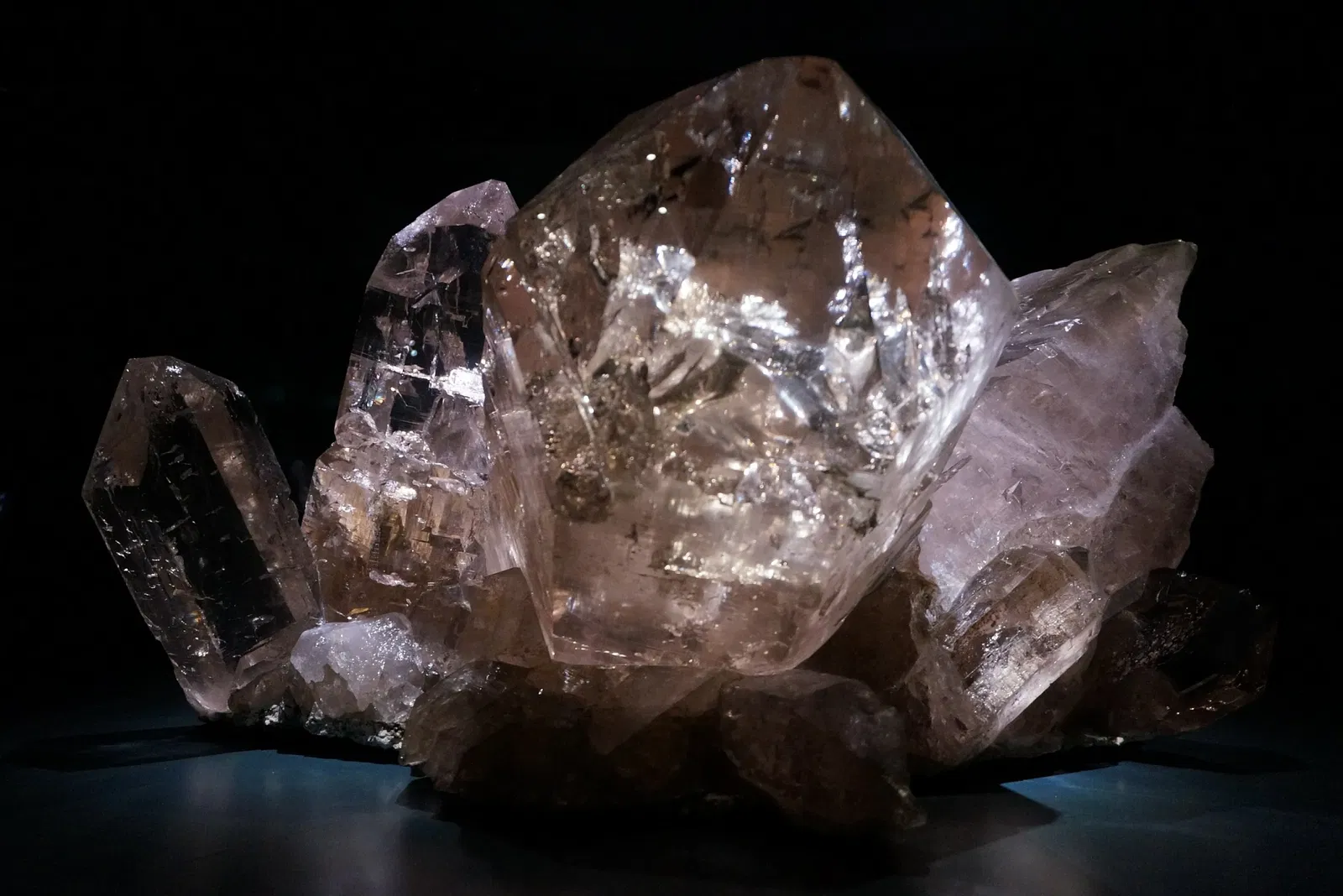 Museo di storia naturale di Berna