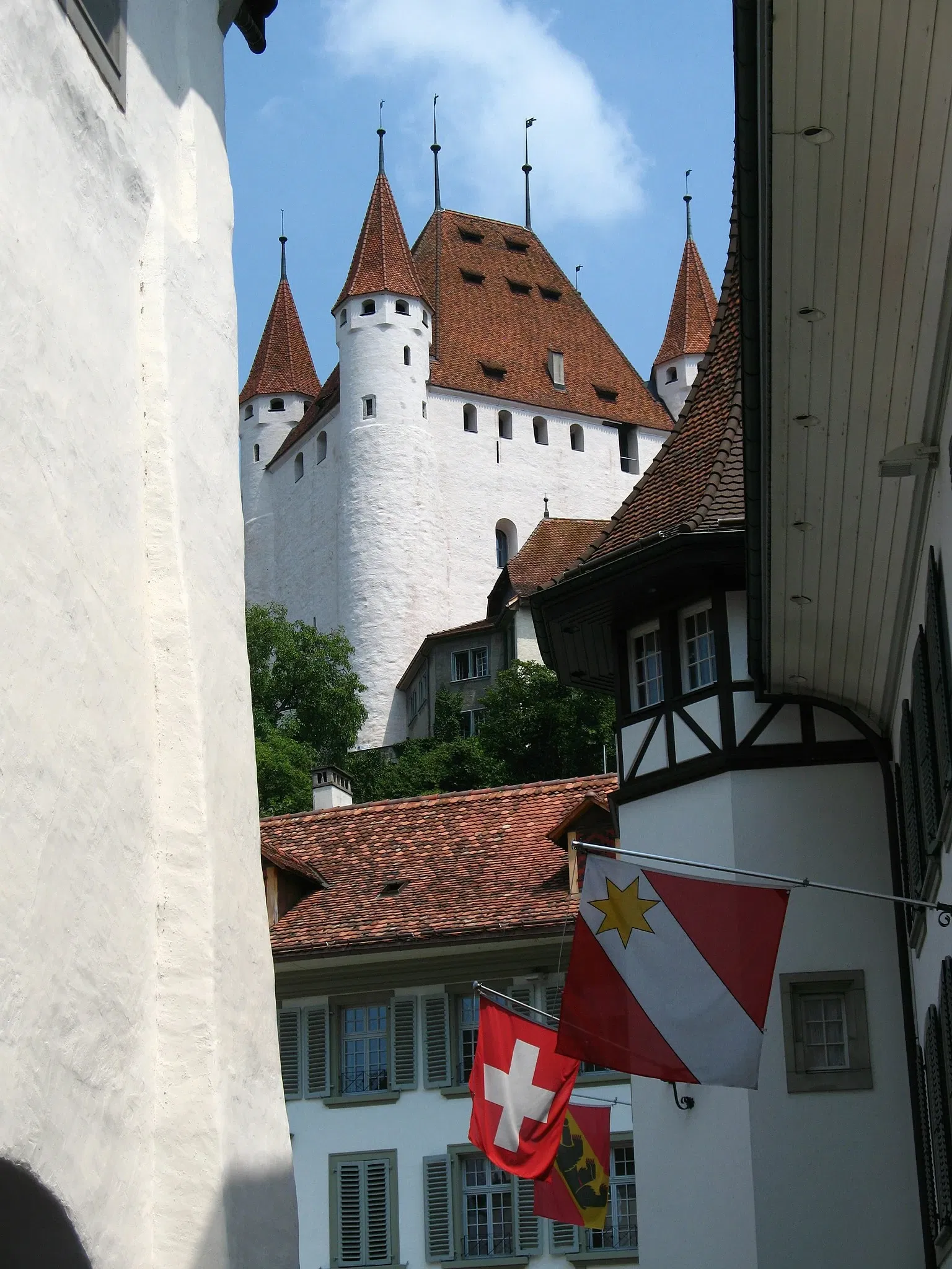 Thun Castle