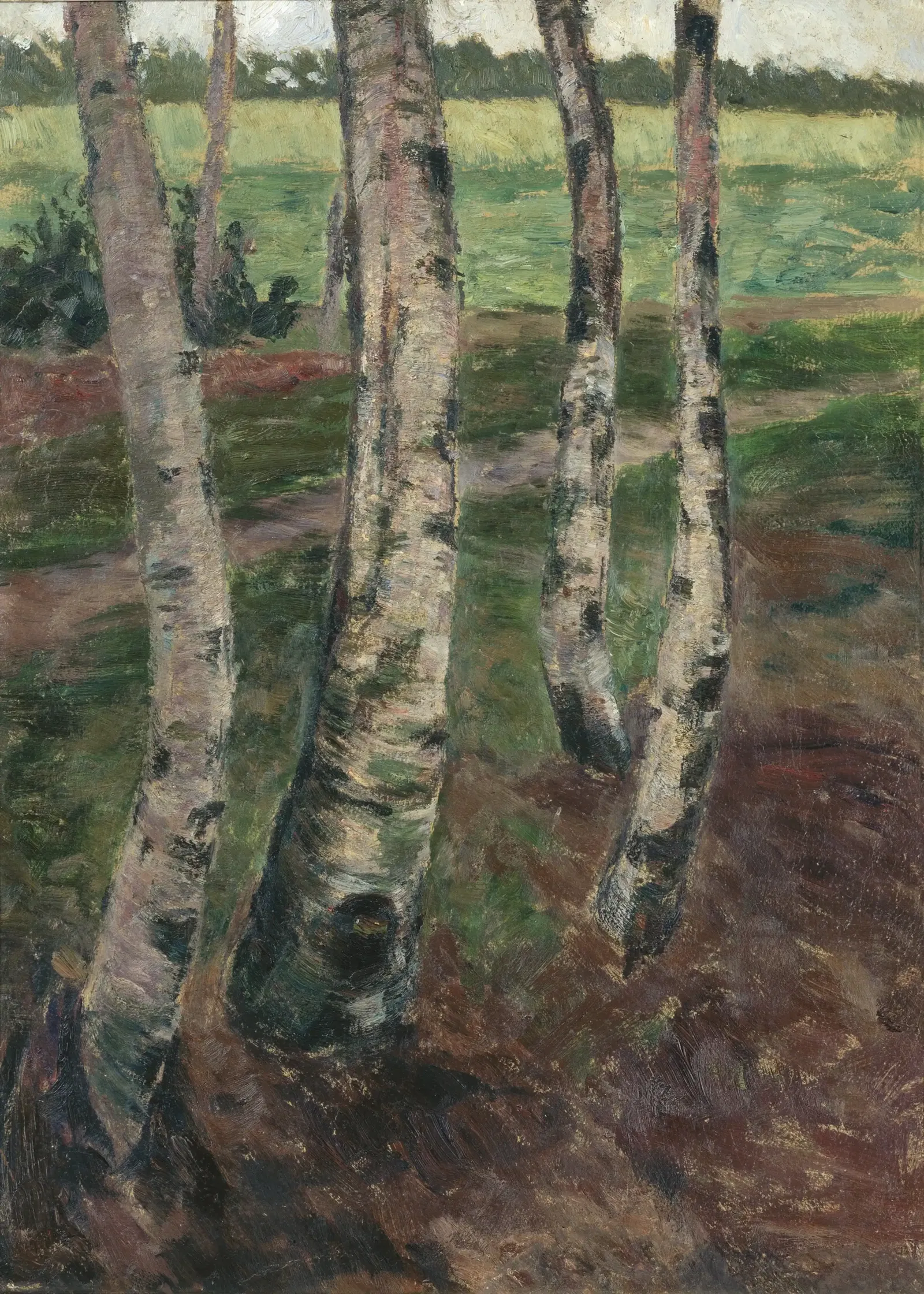 Museo Castello San Materno