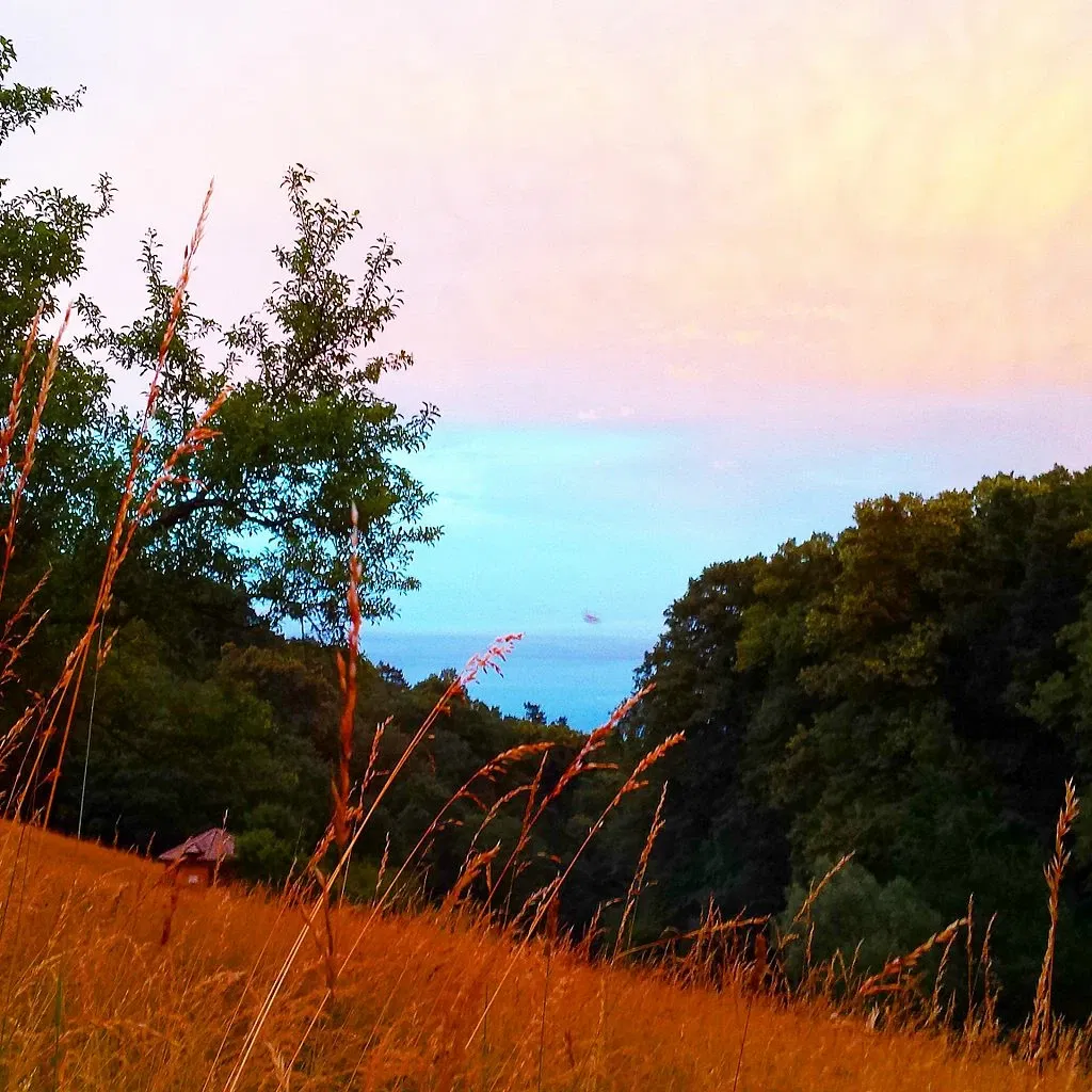 Neuchâtel Botanical Garden
