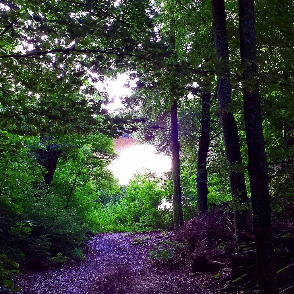 Jardin botanique de Neuchâtel