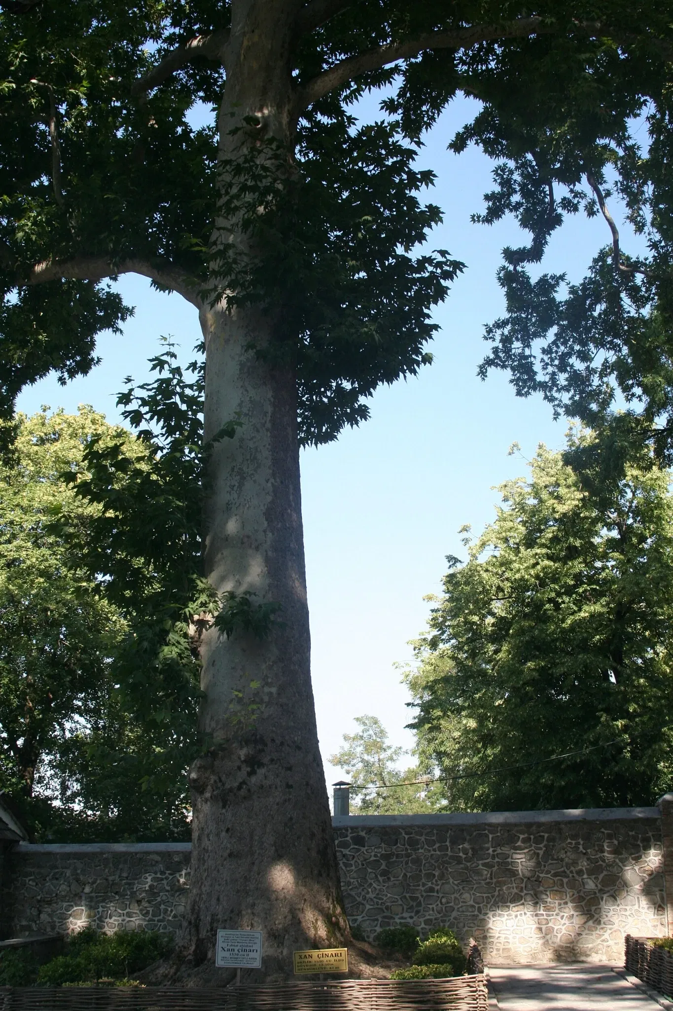 Palazzo dei Khan di Şəki