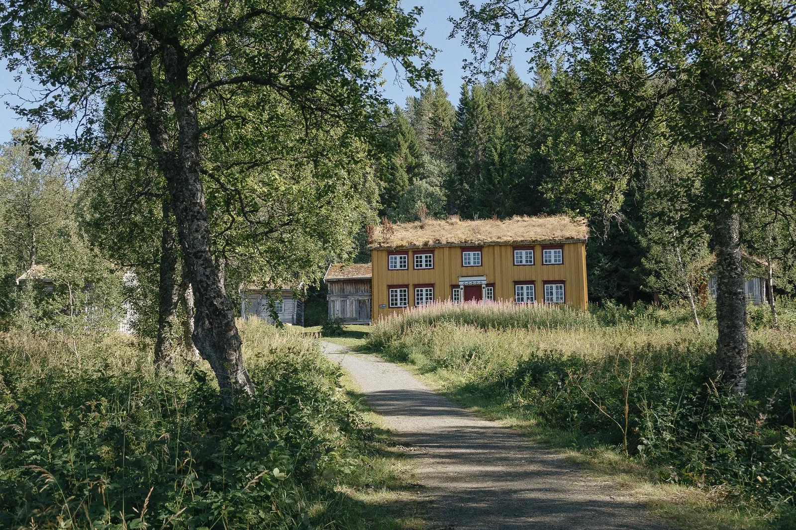 Perspektivet Museum