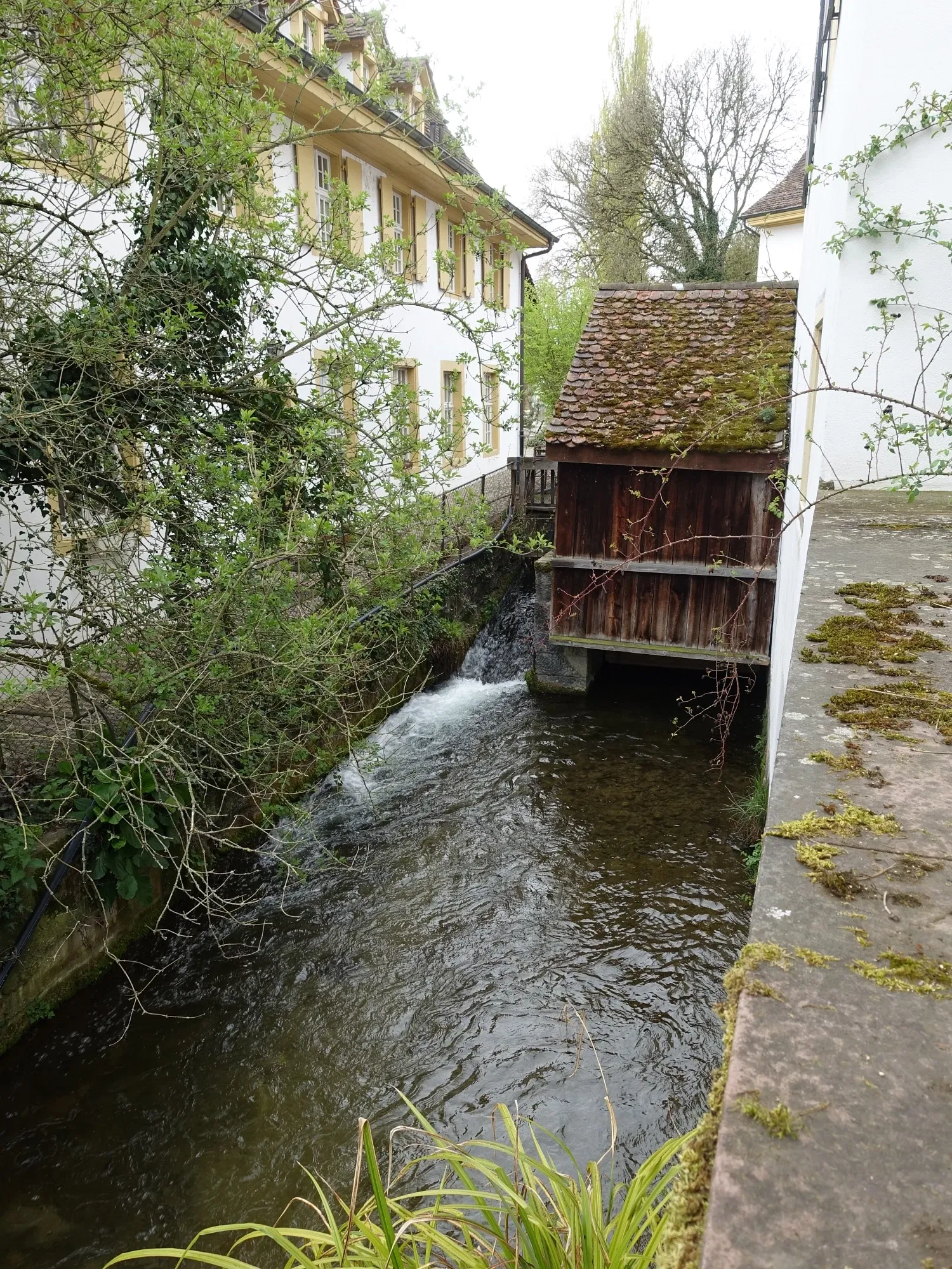 Musée du moulin de Brüglingen