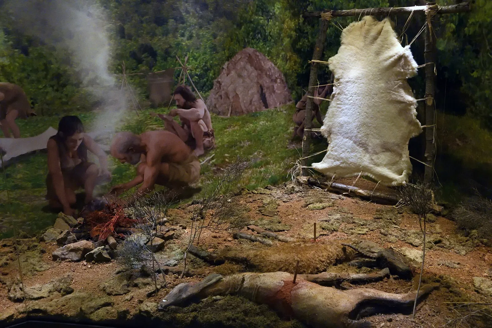 Musée archéologique de Gaziantep