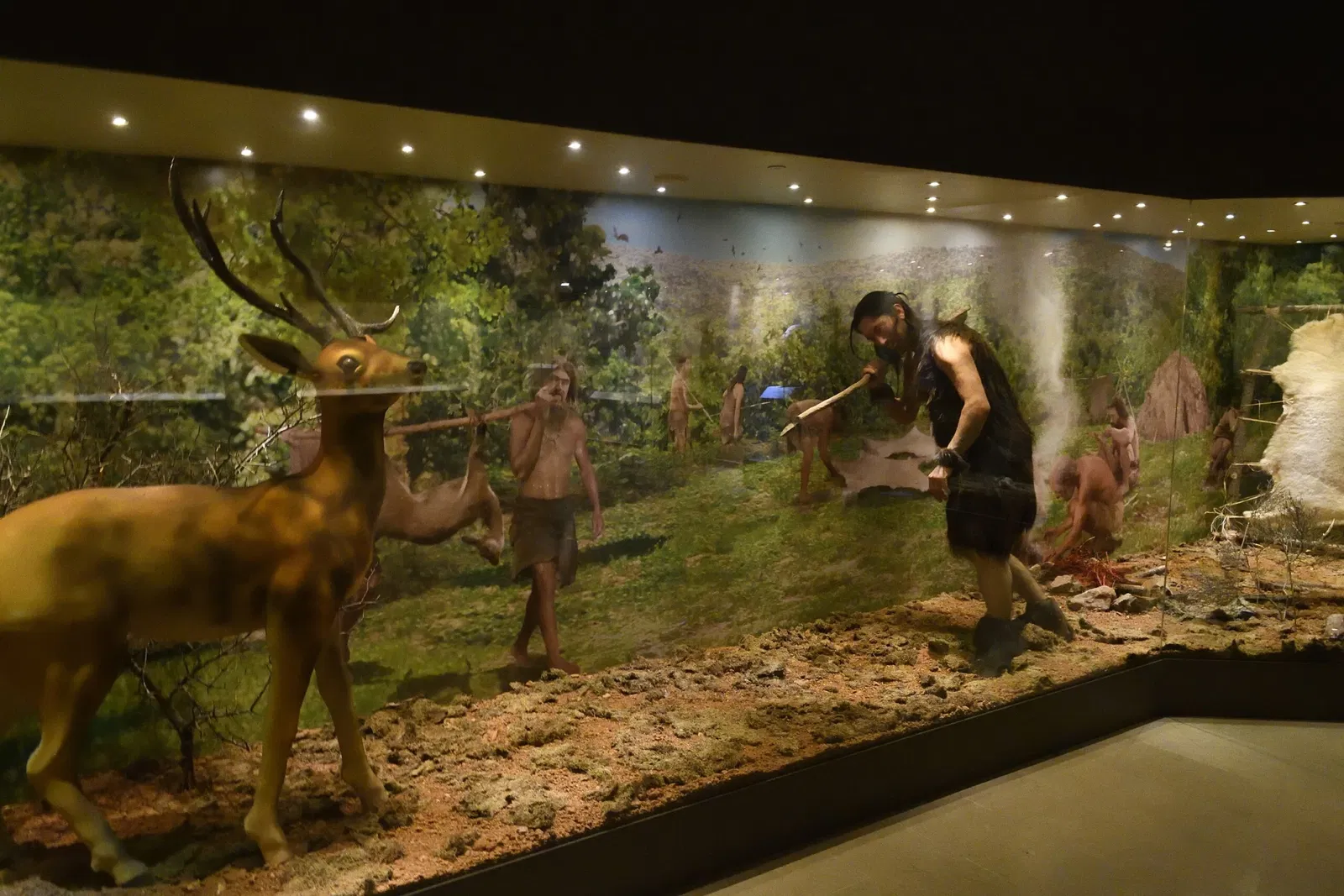 Museo archeologico di Gaziantep