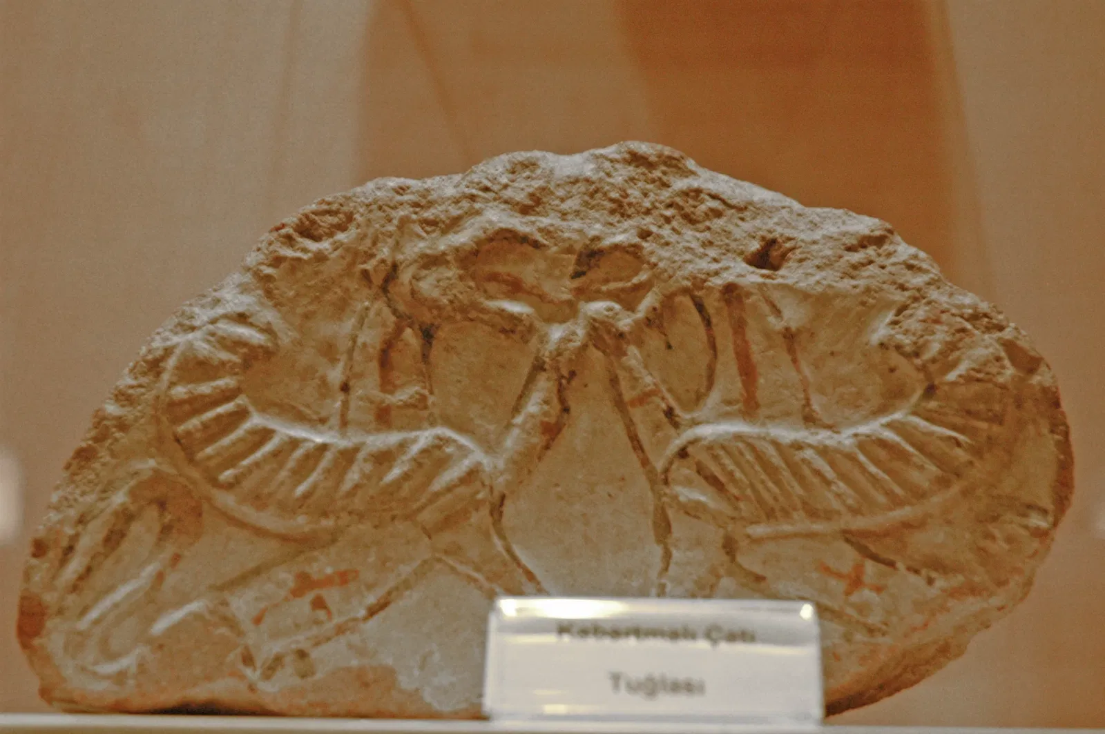 Çorum Archaeological Museum