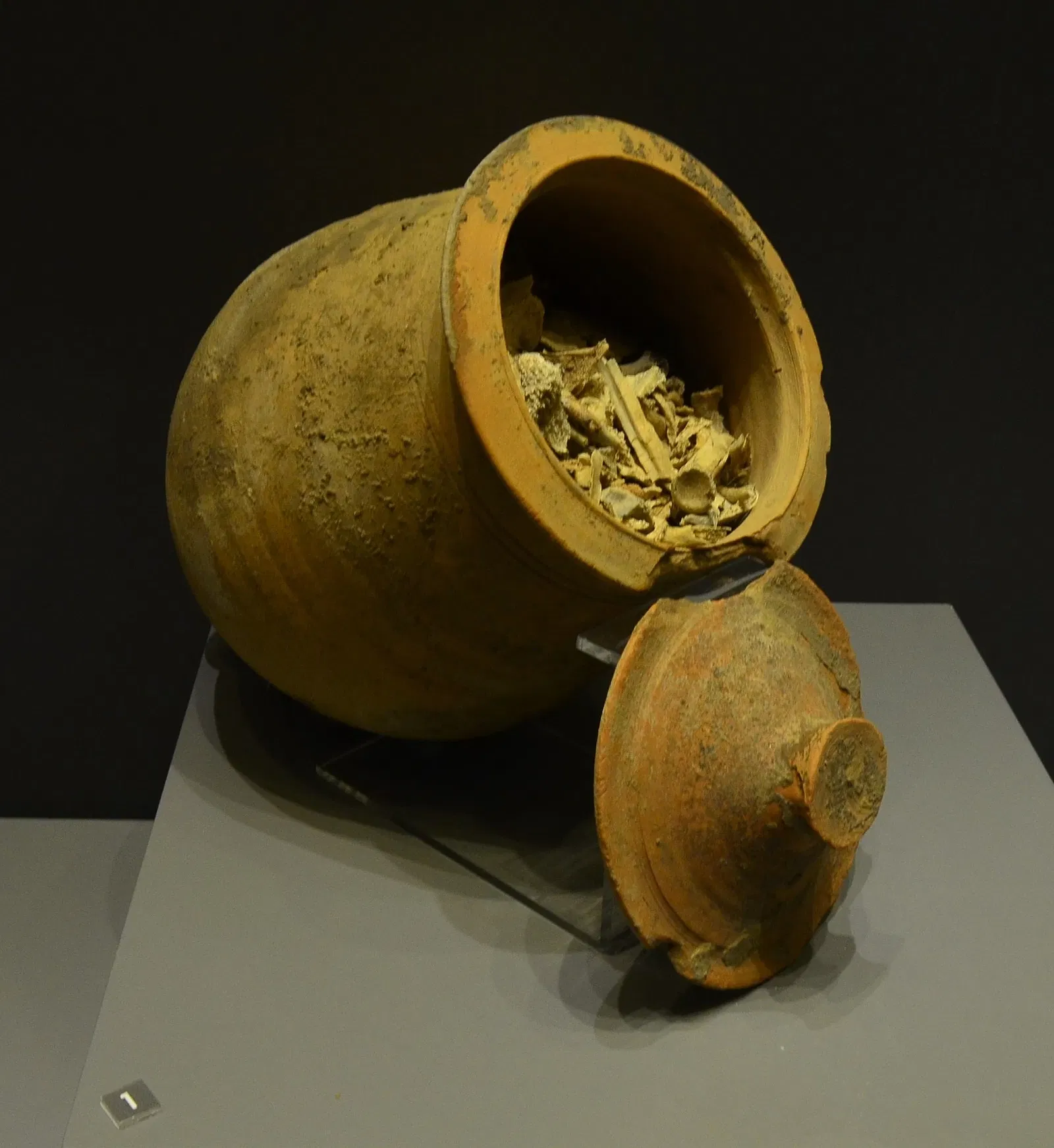 Aydın Archaeological Museum