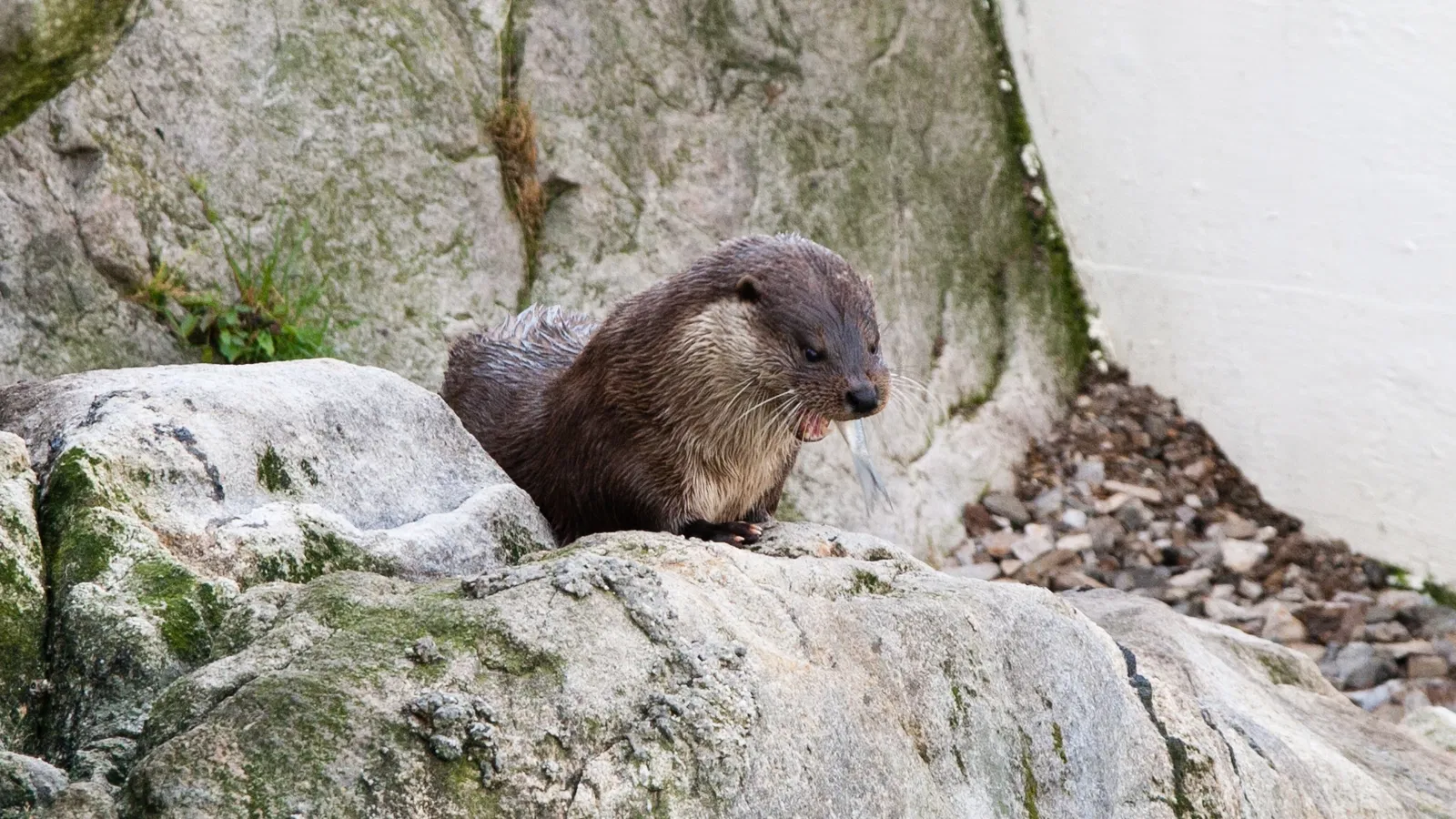 Lofoten Aquarium
