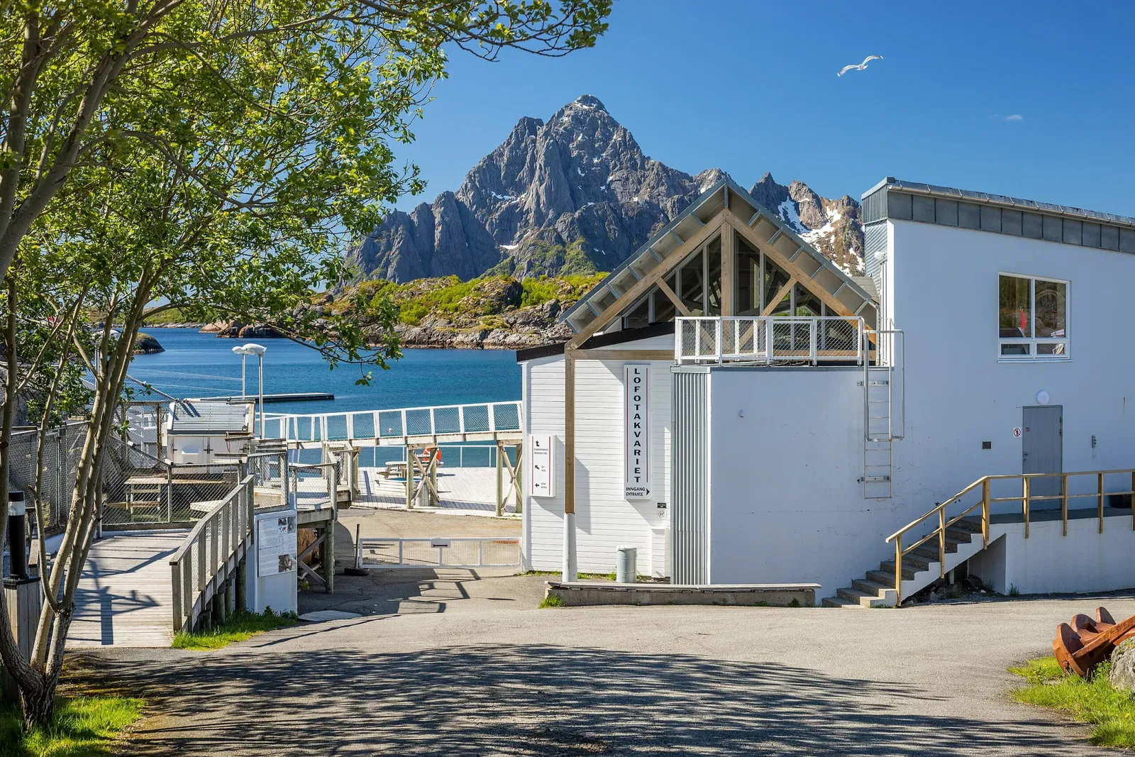 Lofoten Aquarium