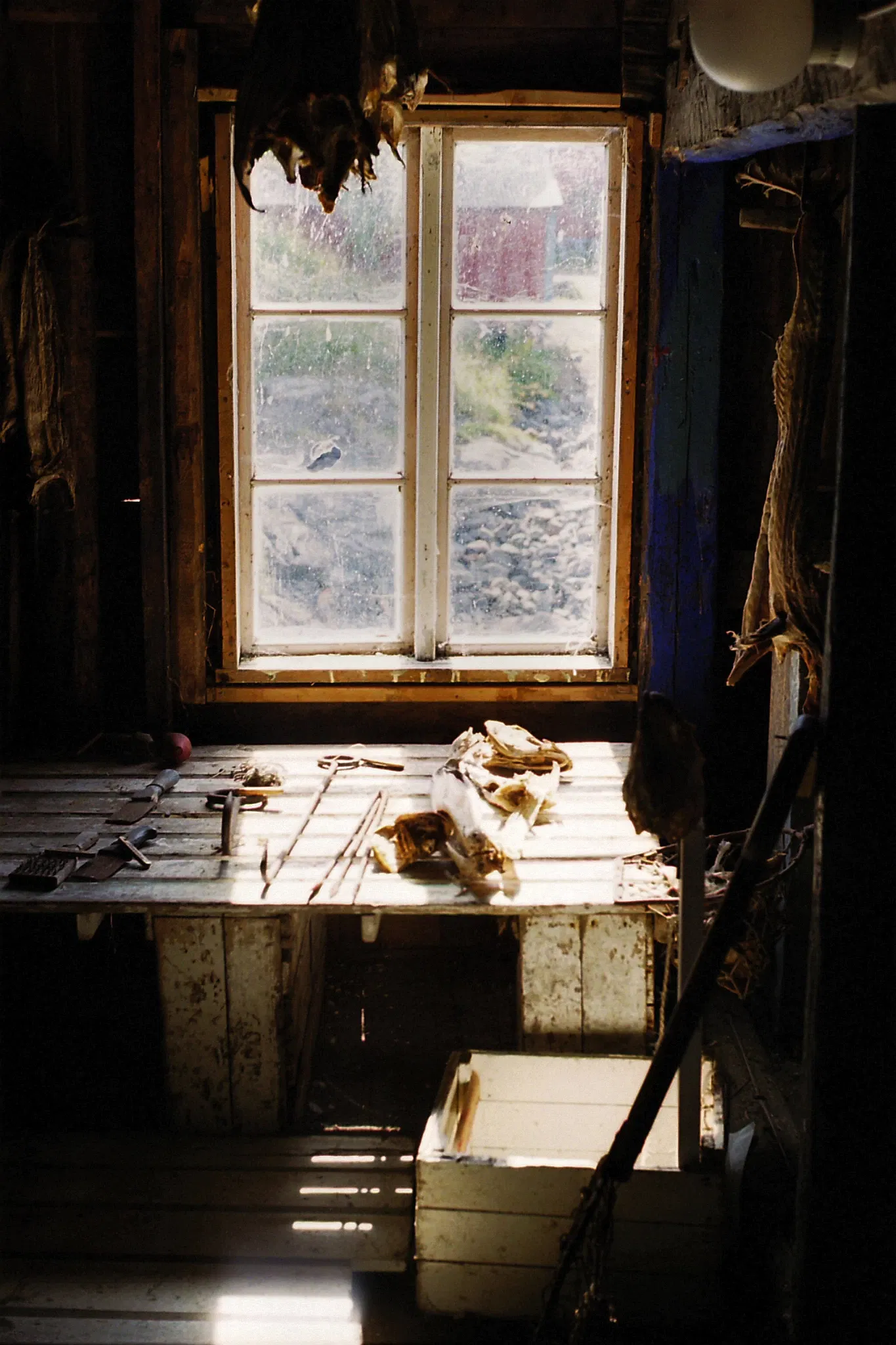 Museo dello stoccafisso delle Lofoten