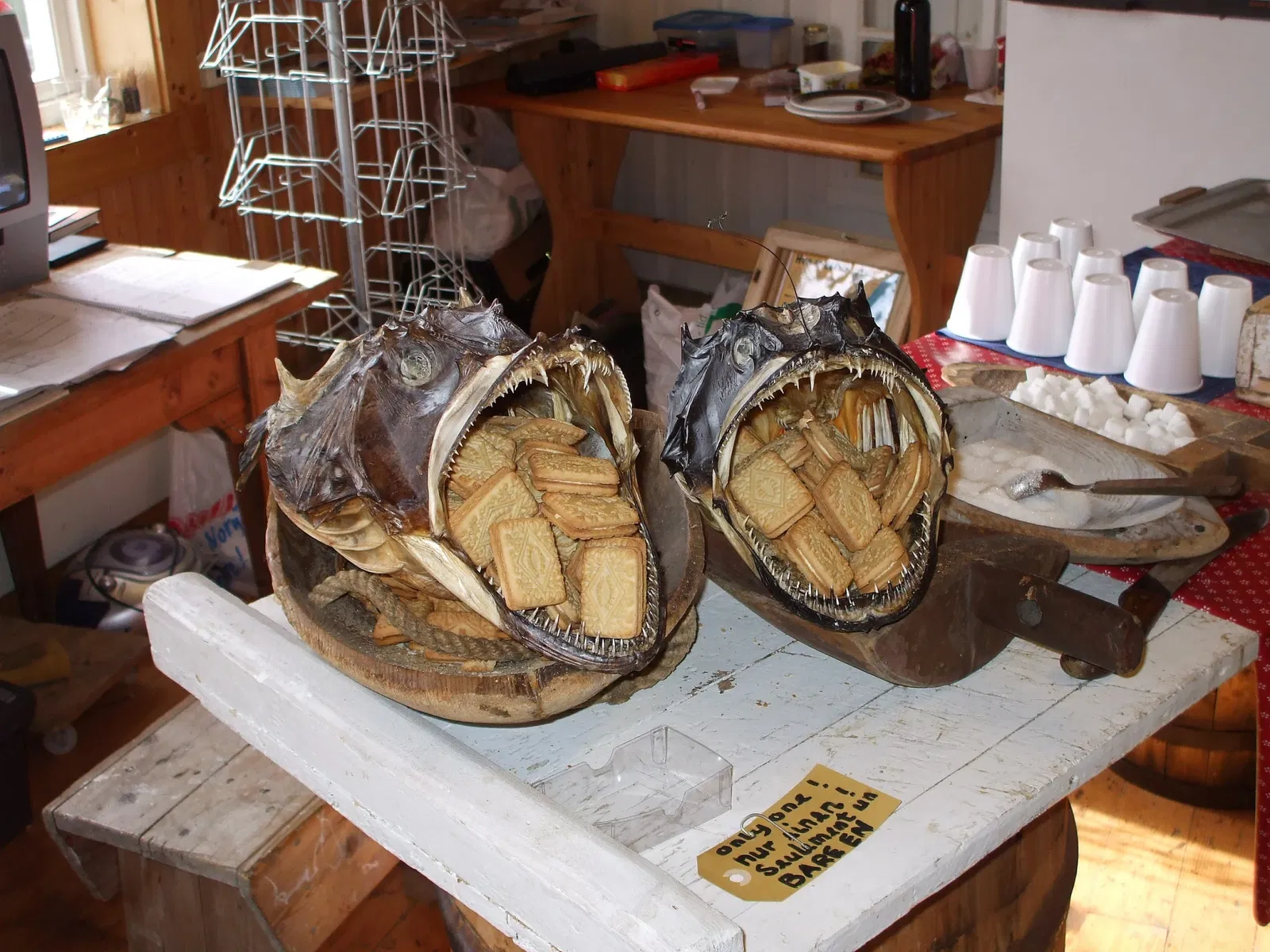 Museo dello stoccafisso delle Lofoten