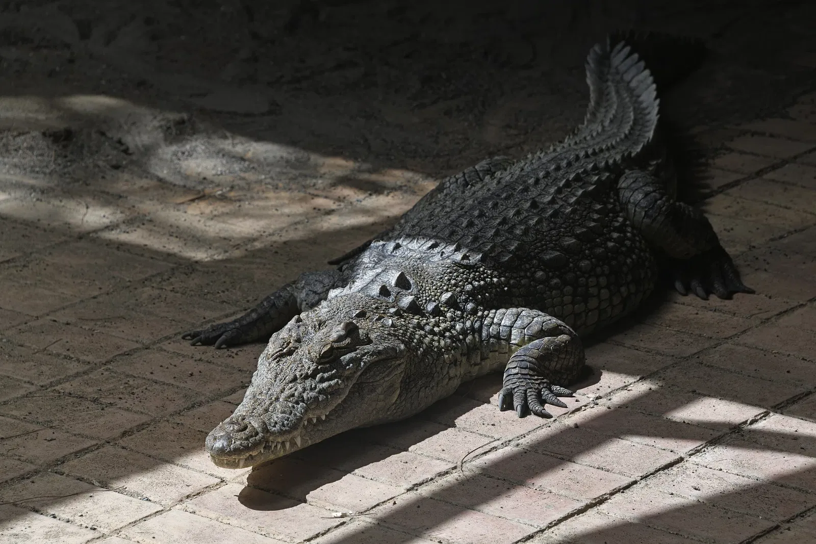 Gaziantep Metropolitan Municipality Zoo