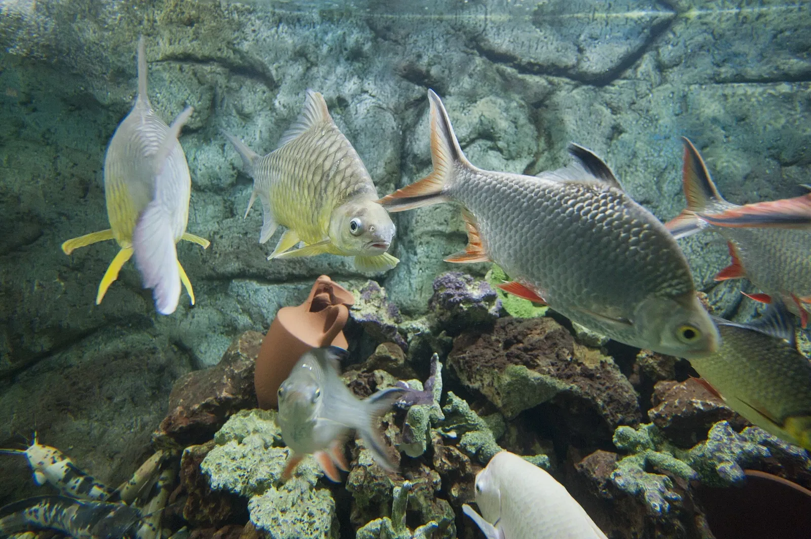 Gaziantep Metropolitan Municipality Zoo