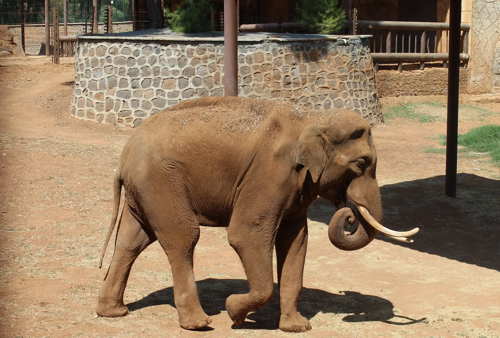 Gaziantep Metropolitan Municipality Zoo