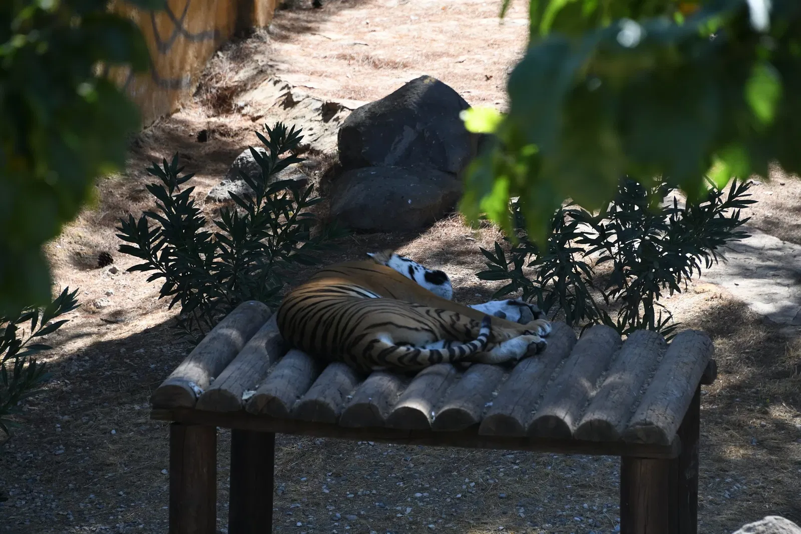 Gaziantep Metropolitan Municipality Zoo