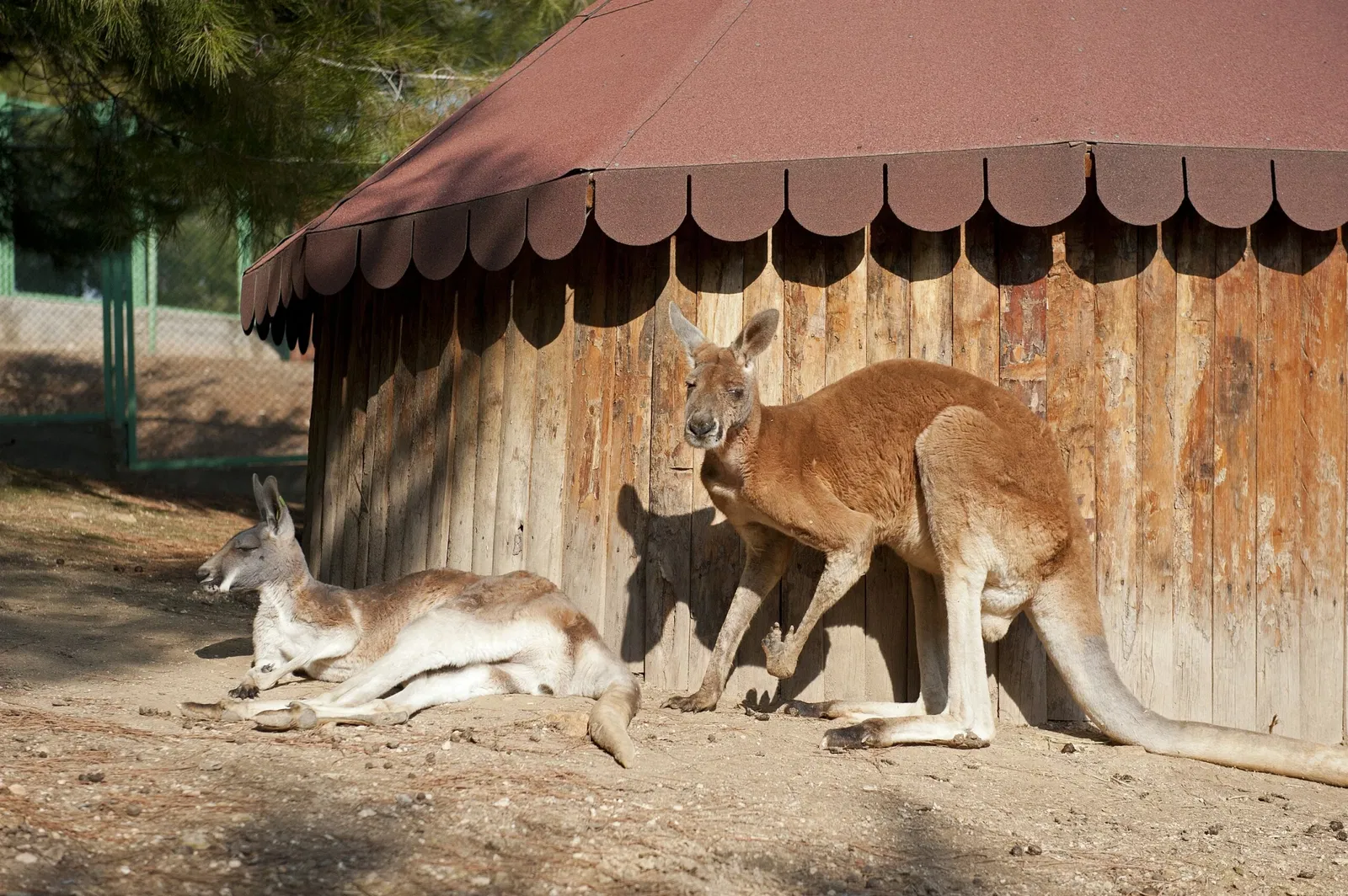 Gaziantep Metropolitan Municipality Zoo