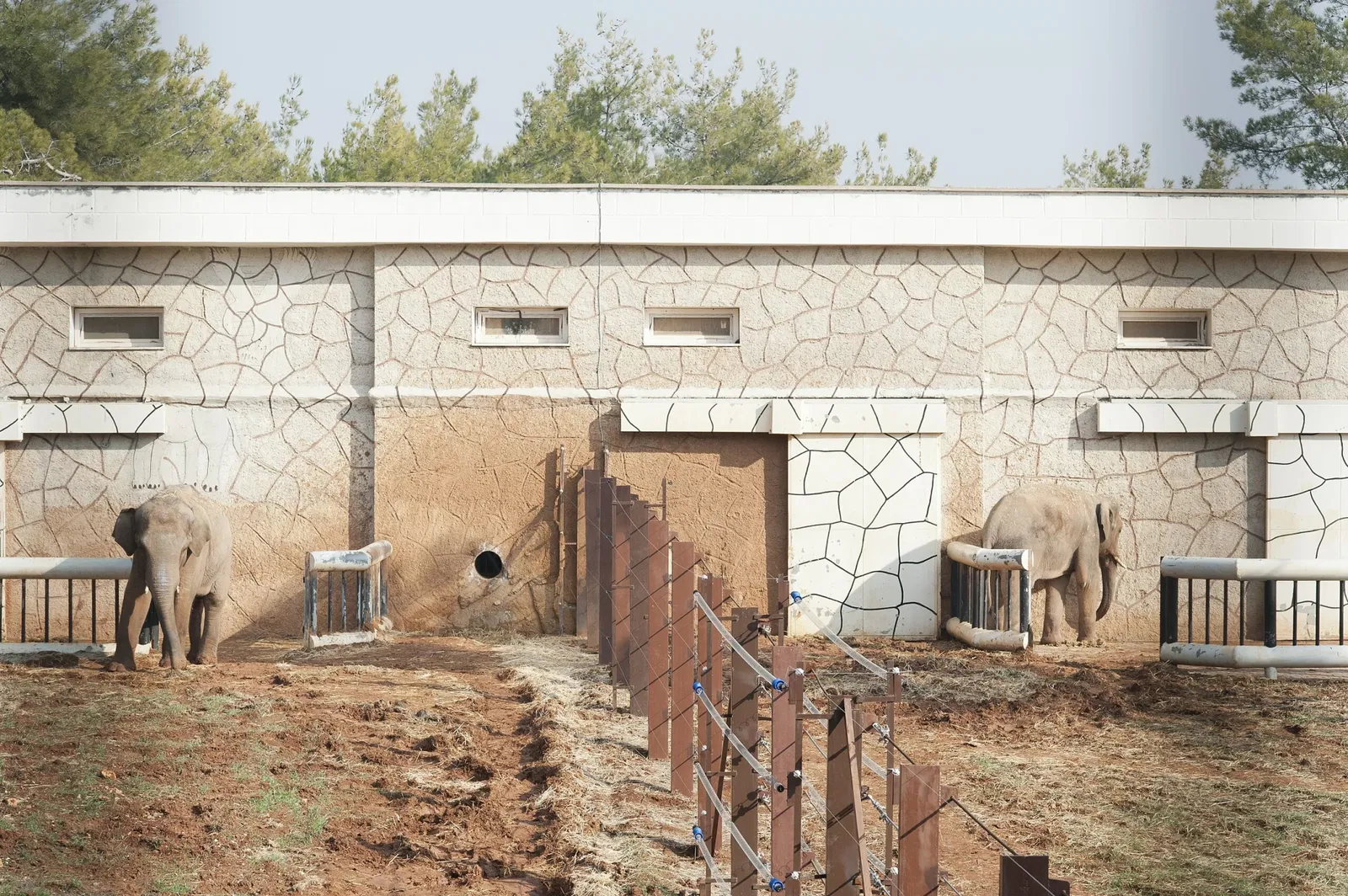 Gaziantep Metropolitan Municipality Zoo