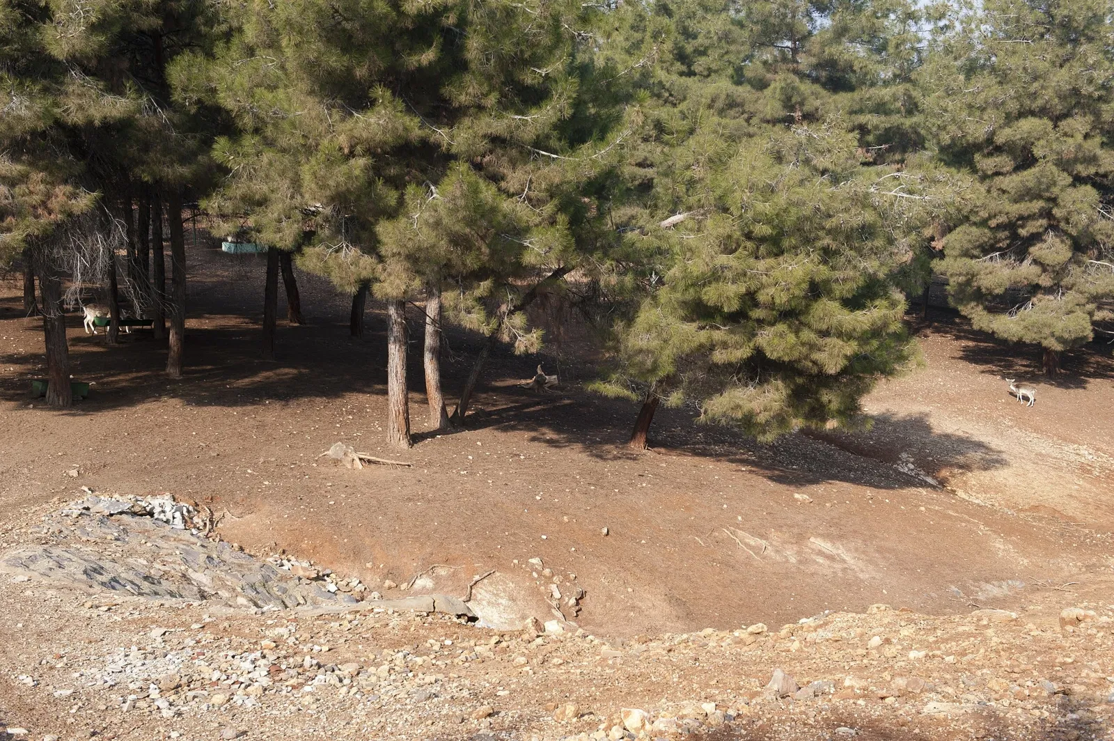 Gaziantep Metropolitan Municipality Zoo