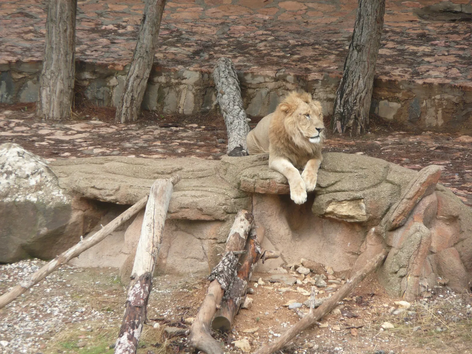 Gaziantep Metropolitan Municipality Zoo