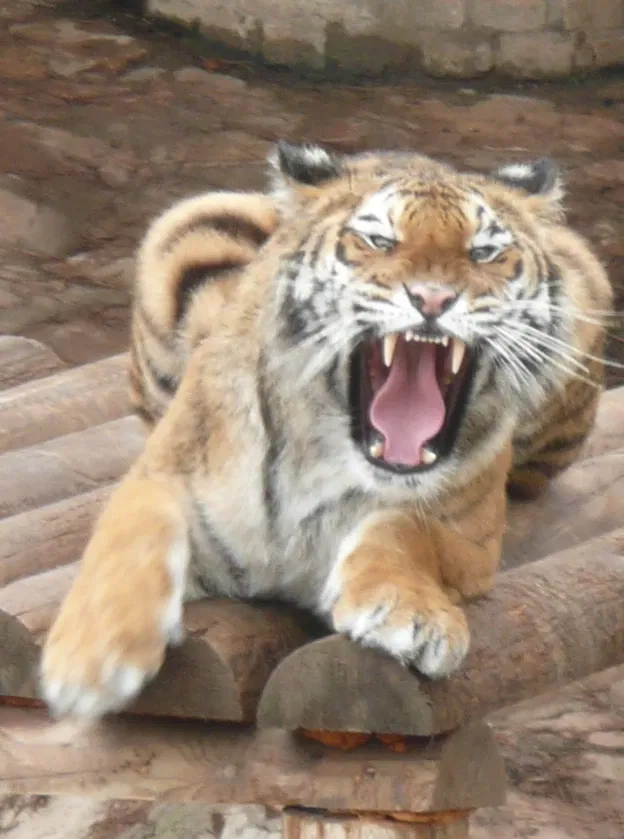 Gaziantep Metropolitan Municipality Zoo