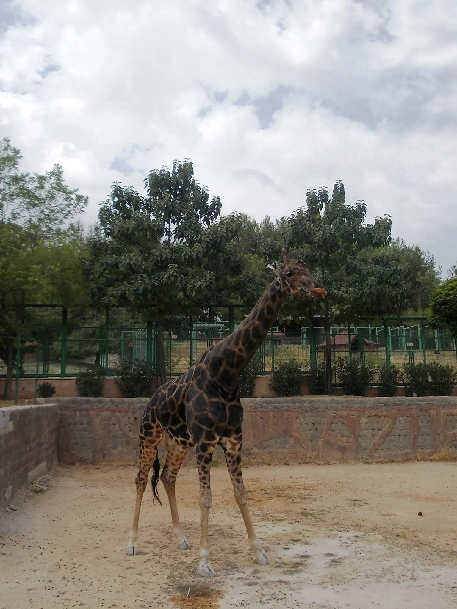 Gaziantep Metropolitan Municipality Zoo