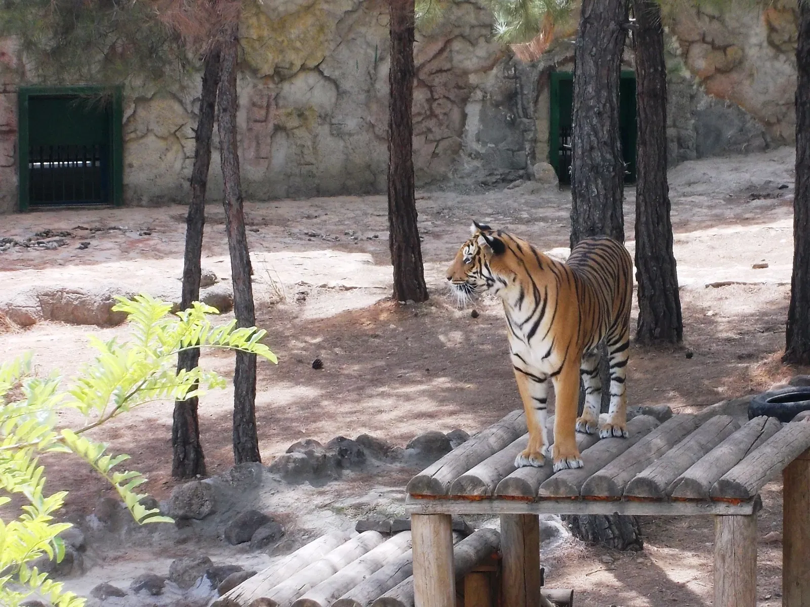 Gaziantep Metropolitan Municipality Zoo