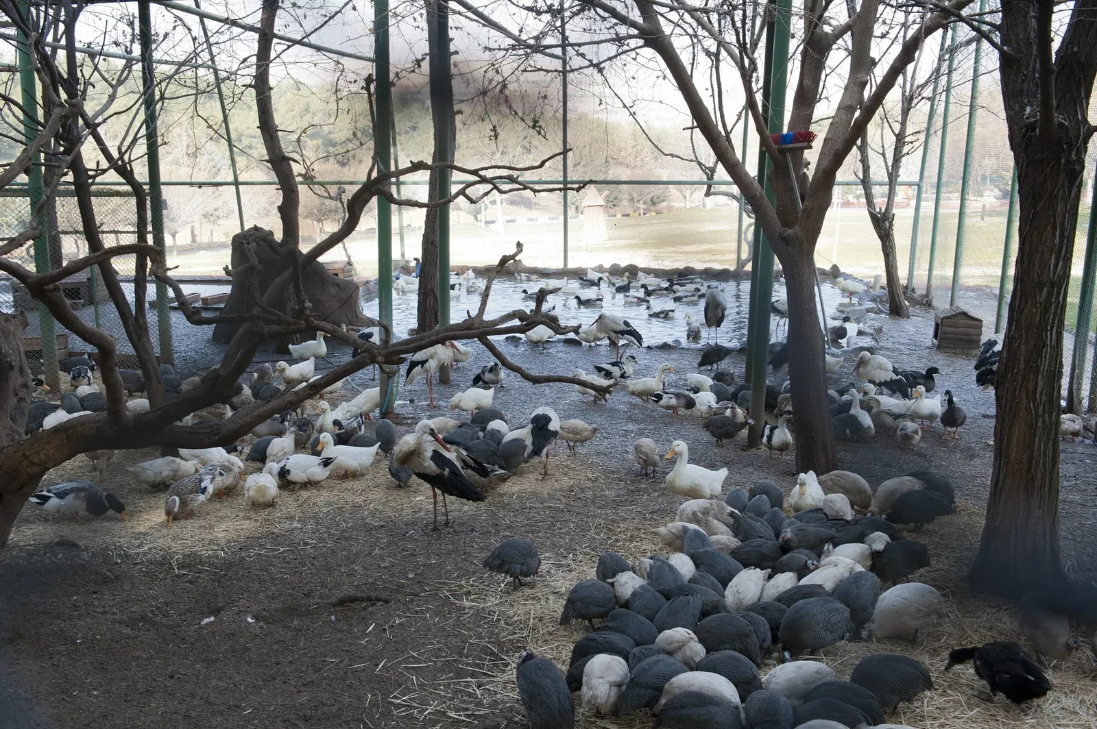 Gaziantep Metropolitan Municipality Zoo