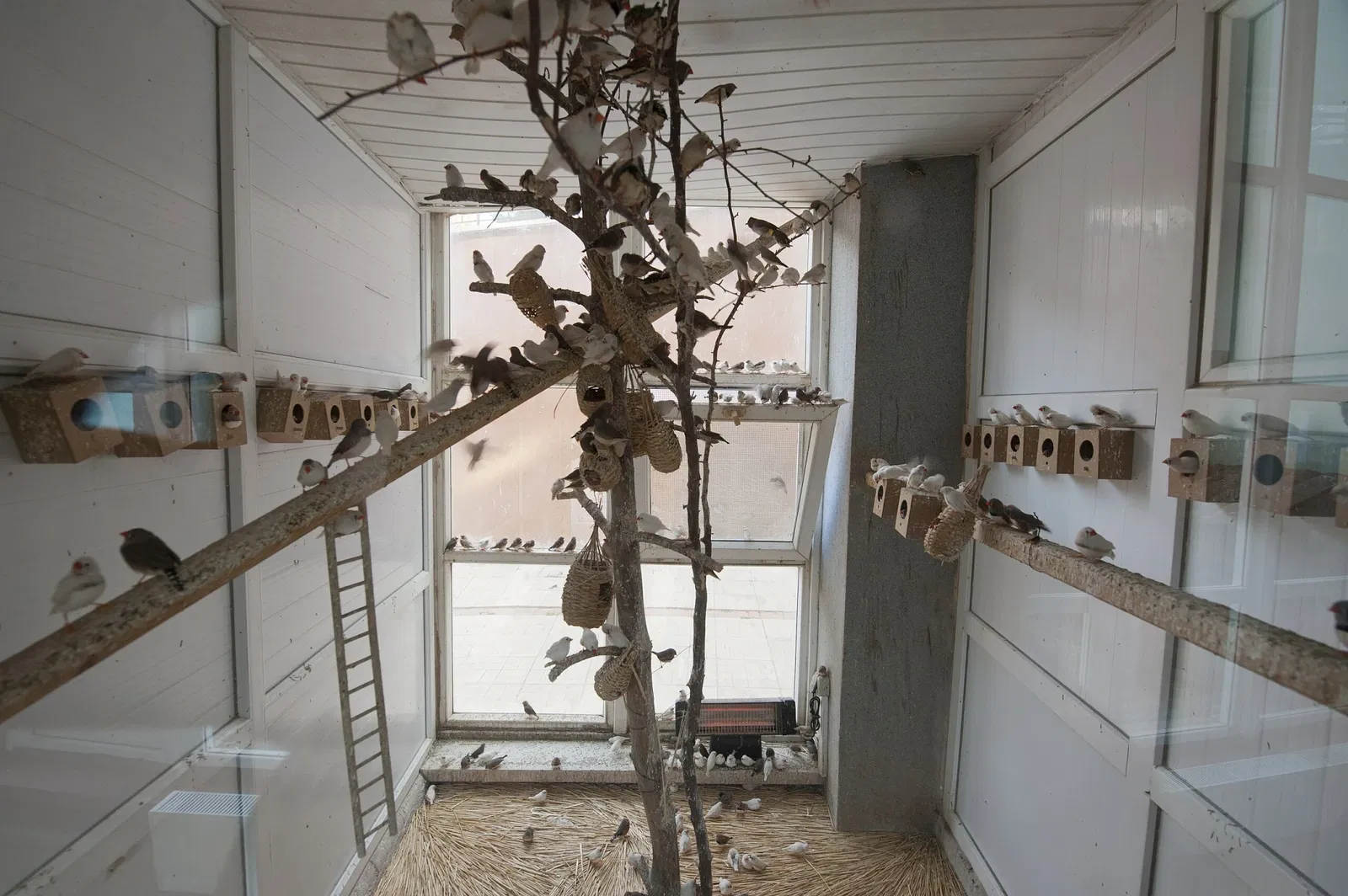 Gaziantep Metropolitan Municipality Zoo