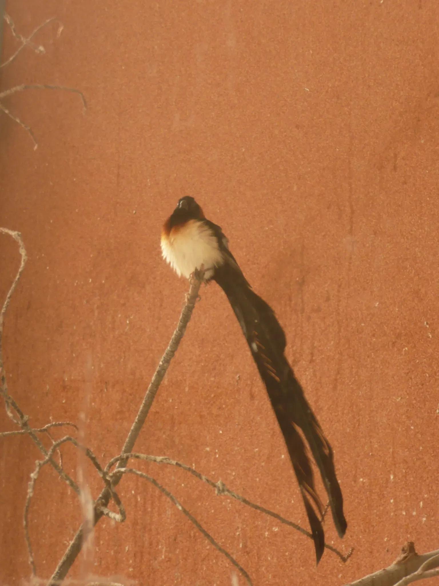 Gaziantep Metropolitan Municipality Zoo