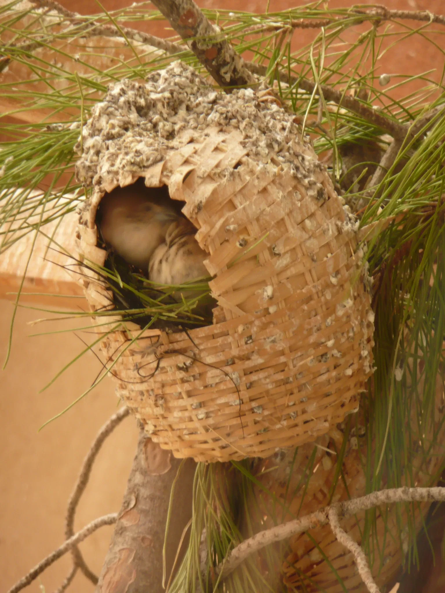 Gaziantep Metropolitan Municipality Zoo