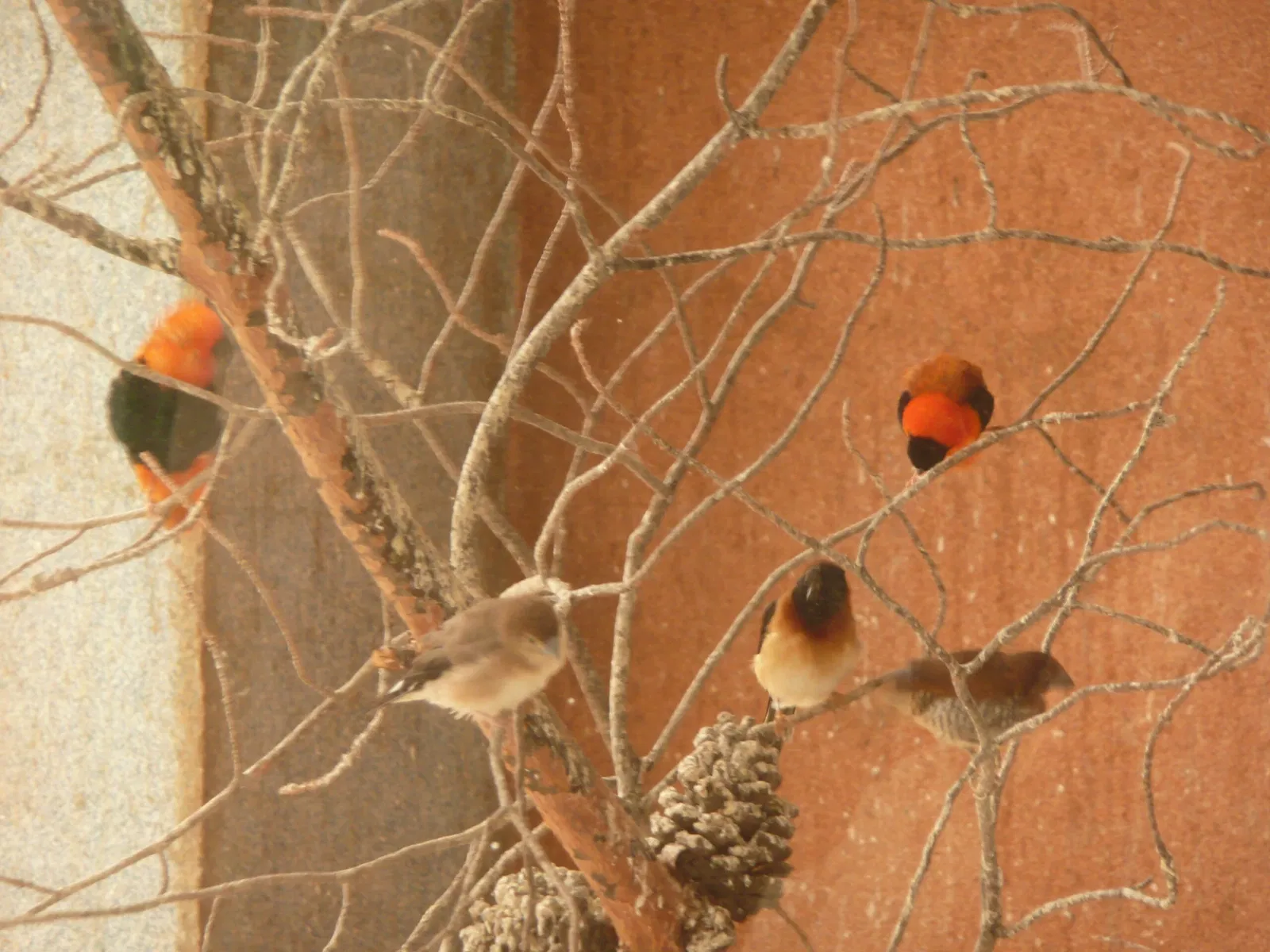 Gaziantep Metropolitan Municipality Zoo