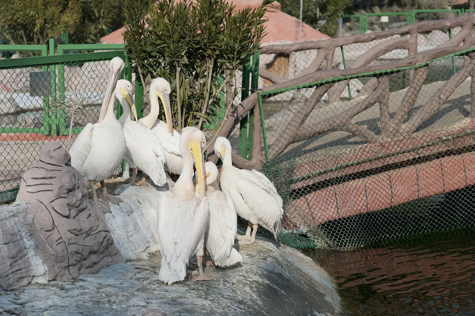Gaziantep Metropolitan Municipality Zoo