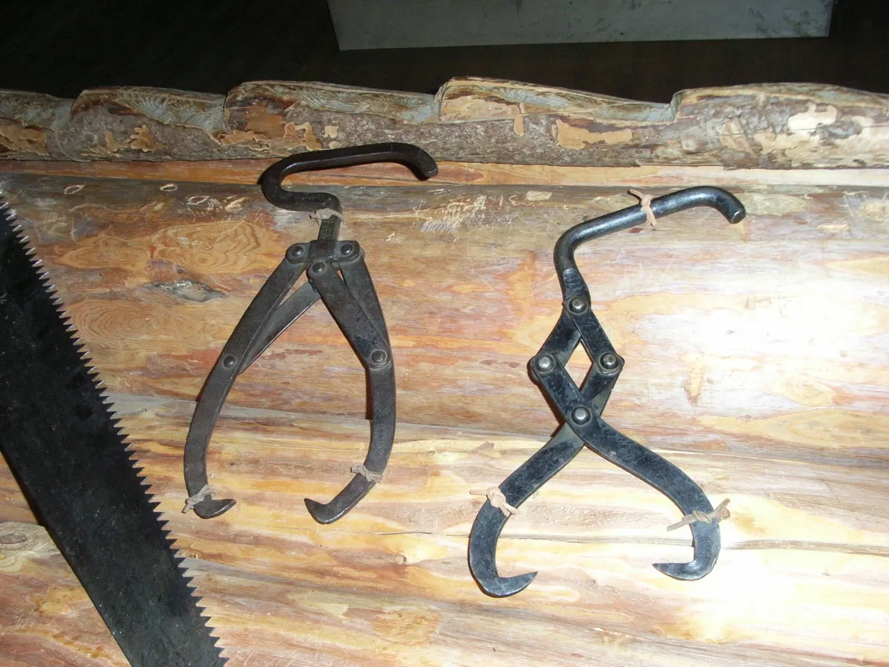 Norwegian Forestry Museum