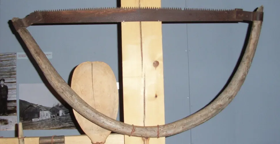 Norwegian Forestry Museum