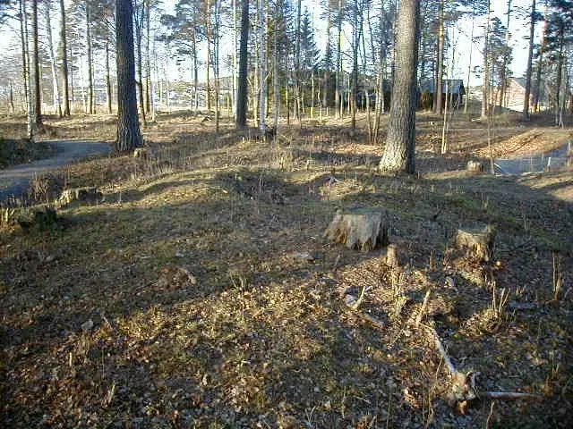 Hringariki Kulturminnepark