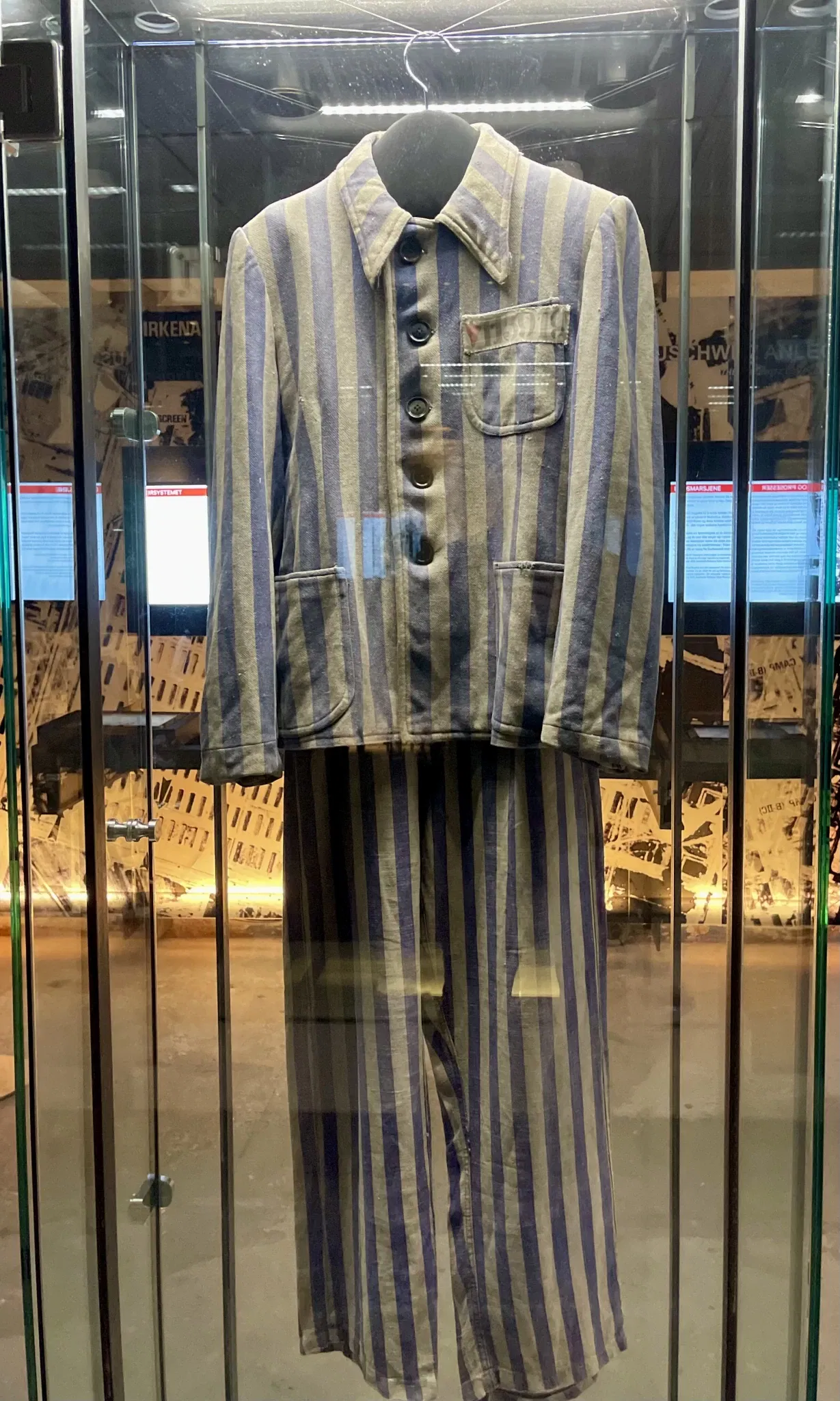 Zentrum für Holocaust- und Minderheitenstudien