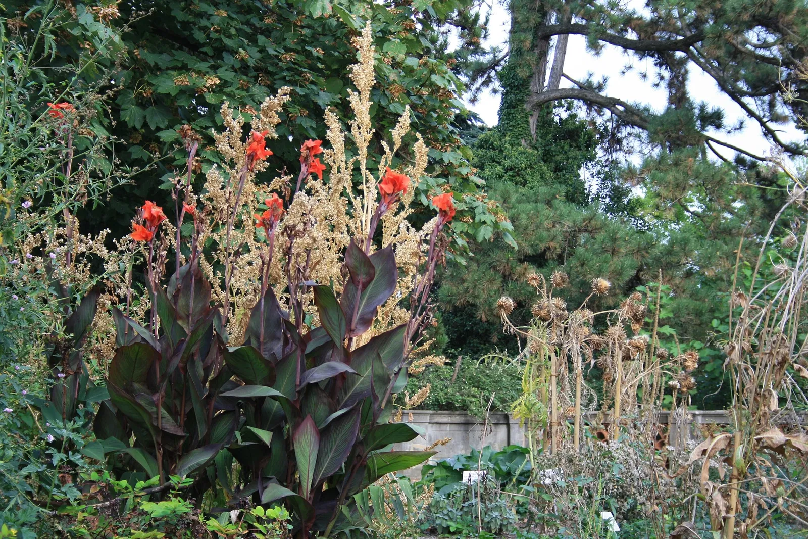 Jardin botanique de Zurich