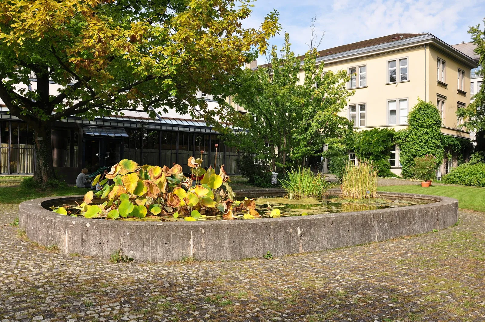 Alter Botanischer Garten